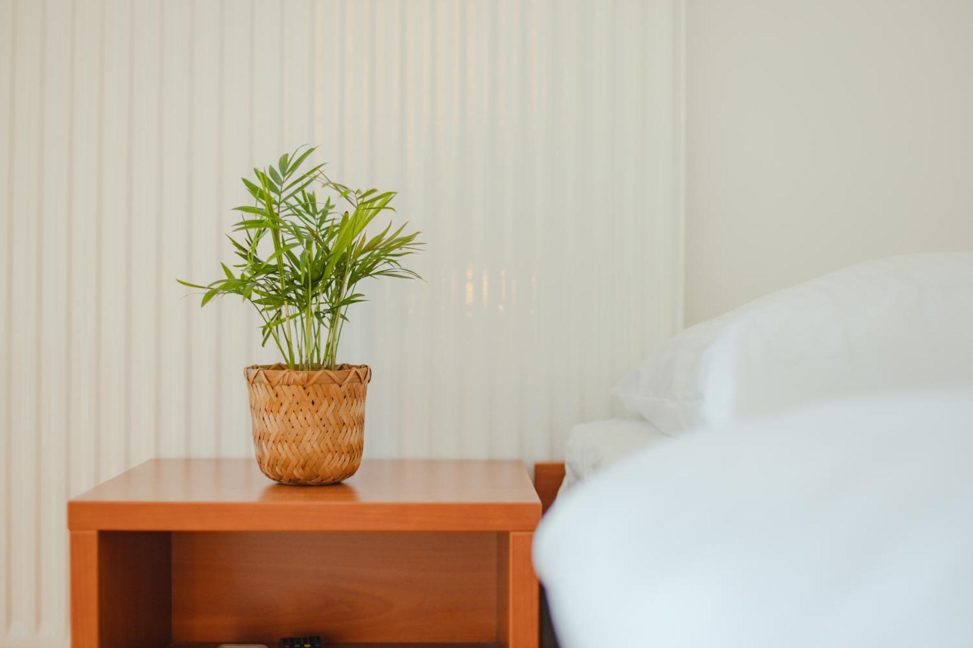 Apartamento Klara *